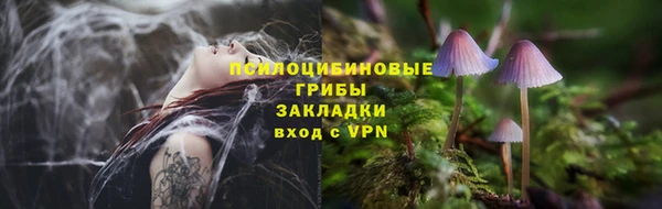 СК Абаза