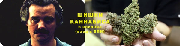 СК Абаза