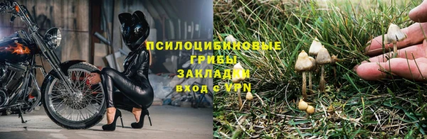СК Абаза