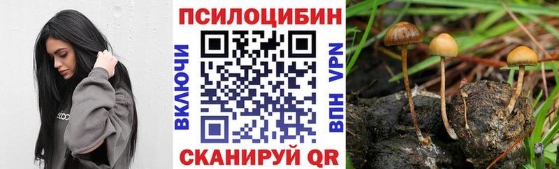 Галлюциногенные грибы Psilocybe  Ступино 